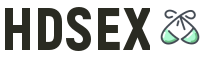HDSex CFD Foot Fetish Logo